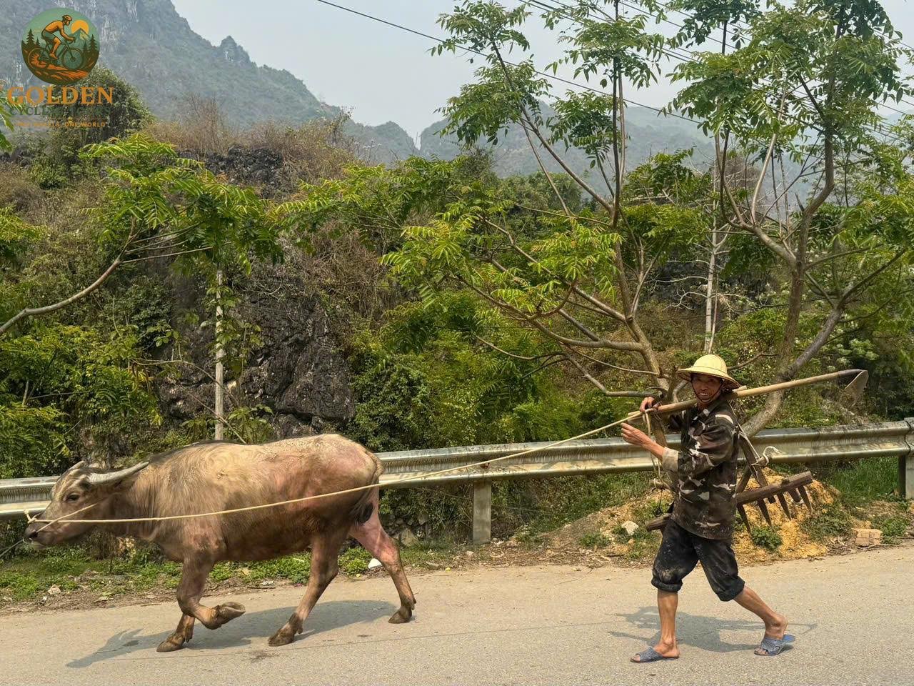 15-Day North Vietnam Cycling Tour: Hanoi, Sa Pa, Ha Giang & Ba Be